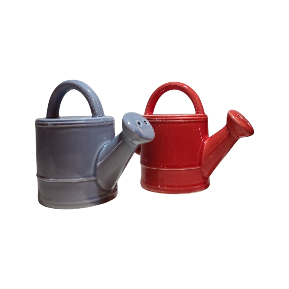 Blue & Red Watering Can Salt and Pepper Shakers Set